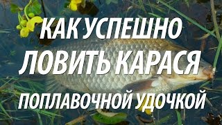 Где водится карась и как его ловить