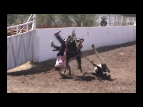 25 - The Best of the Coleaderos in Fresnillo, Zacatecas