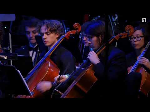 Harry Potter Soundtrack Orchestra - A Celebration of Harry Potter - 11/21/2016 SOLDOUT