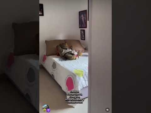 Casas, Venta, Ciudad Jardín - $700.000.000