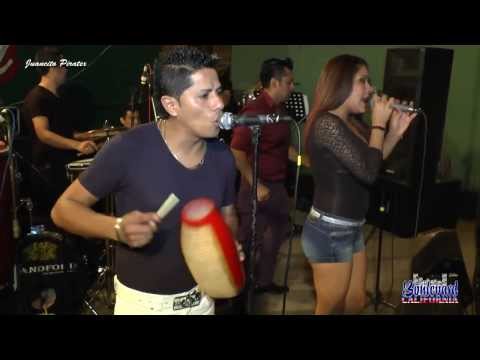 Salsara - Tu Amor No Me Conviene [вяαιιαиzнιιтσω]