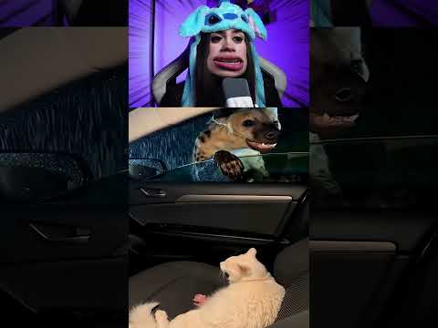 Pessoas se ajudando para uma vida melhor JUNTAS 😊 IB @PawsofLight