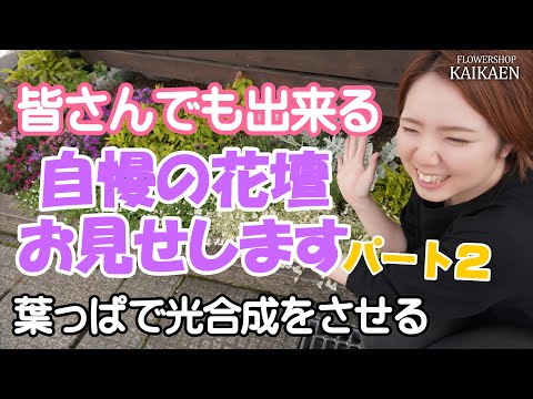 旧暦: 2022 年 8 月の月を使ってガーデニングをするには?  庭園