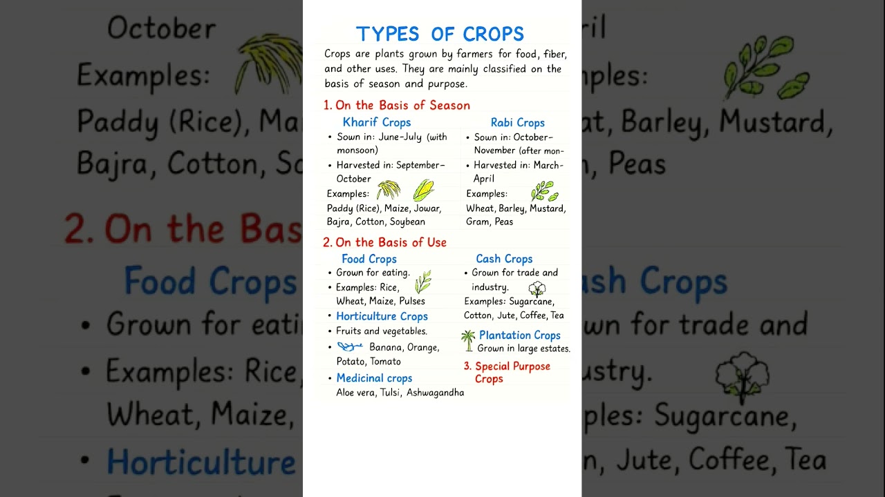 🌾 Types of Crops Explained in 1 Minute | Kharif, Rabi & Zaid Crops