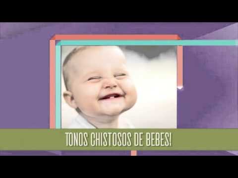 Timbres Chistosos Video