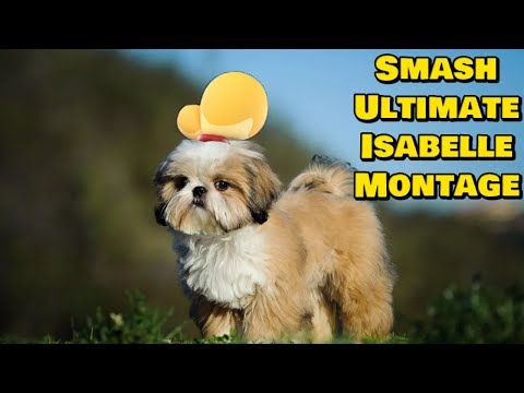 "iSaBeLlE iS bAd" (Smash Bros. Ultimate Montage)