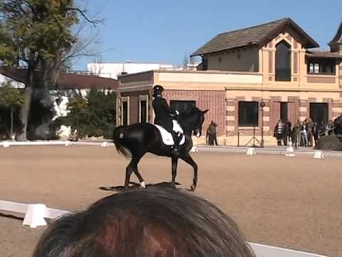MOV058 Caroline Dr Doolittle Grand Prix Special 6 Mar 2016 Jerez CDI Final