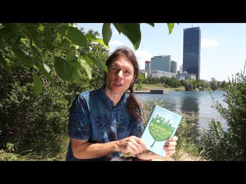 Video-Thumbnail von YouTube