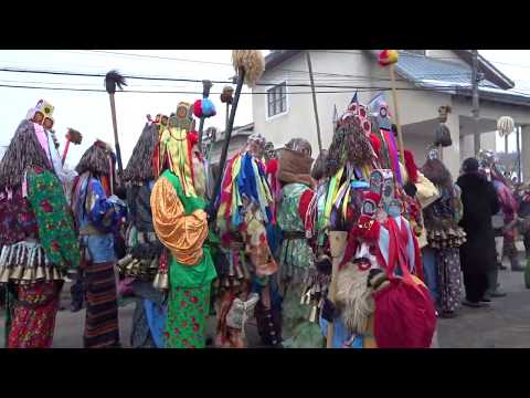 Ursul de la Blagesti 2018 - 2019 part 4