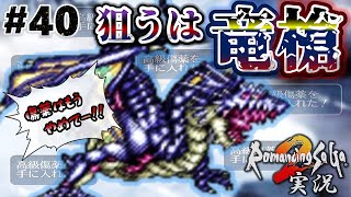 【ロマサガ2】氷竜から竜槍ドロップを狙う！怒りの高級傷薬【実況】Part40