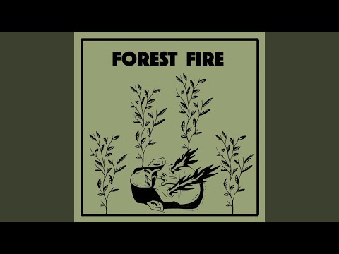 Video thumbnail for Forest Fire