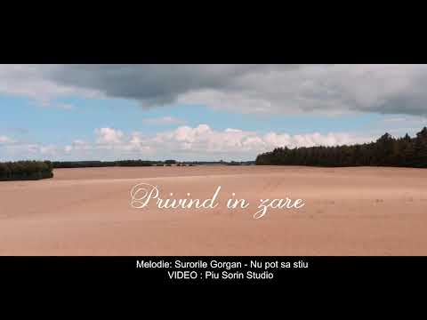 Raspunsuri Biblice : Ghedeon , judecator a lui Israel | Judecatorii 6:11-40