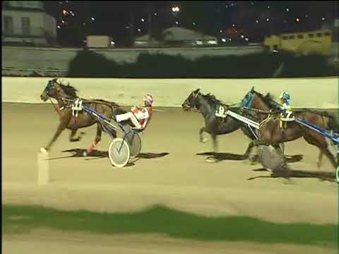 Trotto 09/03/2018 - 7ª corsa