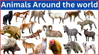 Discover 160 Amazing Animals from Every Corner of the world