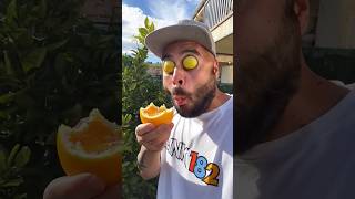 Download lagu Want to try my oranges?π#funny #food mp3 Download lagu Want to try my oranges?π#funny #food mp3
