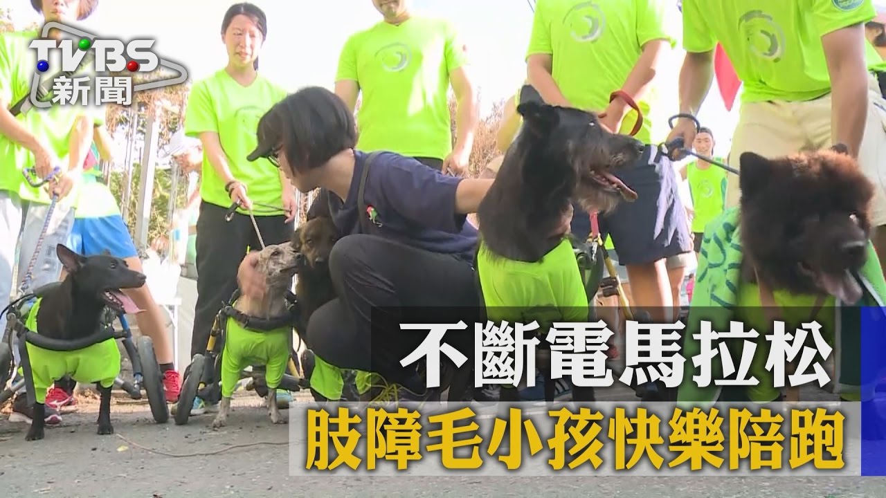 不斷電馬拉松 肢障毛小孩快樂陪跑