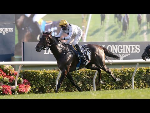 2021 Hong Kong Mile (G1) | Golden Sixty breaks records with another #HKIR win | Sha Tin racecourse