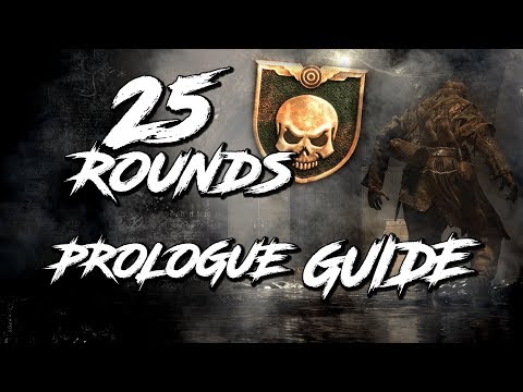 PROLOGUE ROUND 25 GUIDE [WW2 ZOMBIES] [MOUNTAINEER CHALLENGE]
