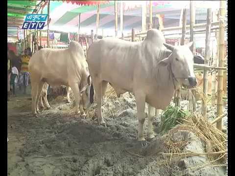 পর্যাপ্ত পশু থাকলেও দাম বেশি হাঁকা হচ্ছে বলে অভিযোগ