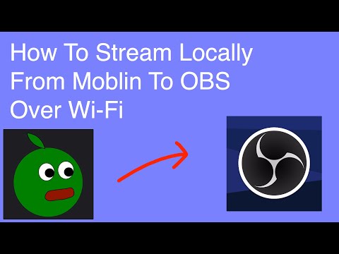 How To Stream Locally From Moblin To OBS