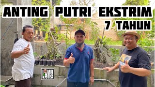 Download lagu KOLEkSI ANTING PUTRI EKSTRIM BEDA SENDIRI mp3