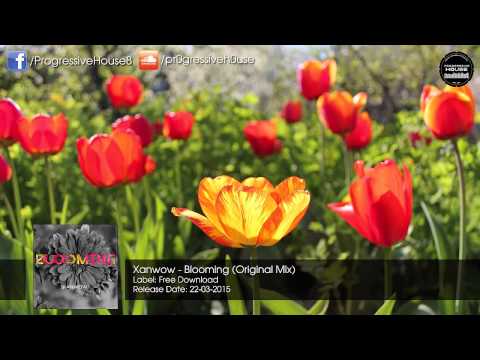 Xanwow - Blooming (Original Mix) [Free Download]