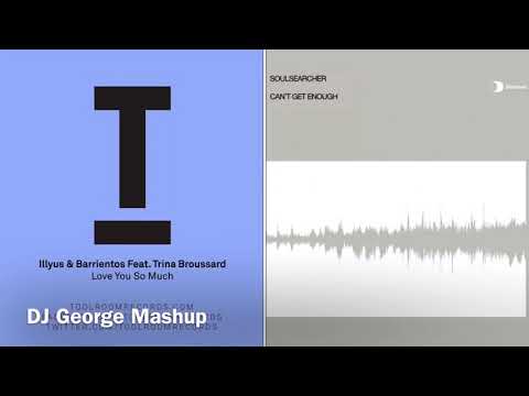 Lllyus & Barrientos - Love You So Much Vs Soulsearcher - Can’t Get Enough (DJ George Mashup)
