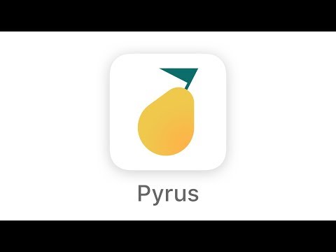 Видеообзор Pyrus
