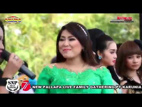 download lagu mp3 mp4 New Pallapa Full Album Gresik, download lagu New Pallapa Full Album Gresik gratis, unduh video klip New Pallapa Full Album Gresik