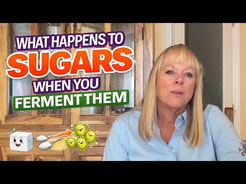 What Happens to Sugars When You Ferment Food