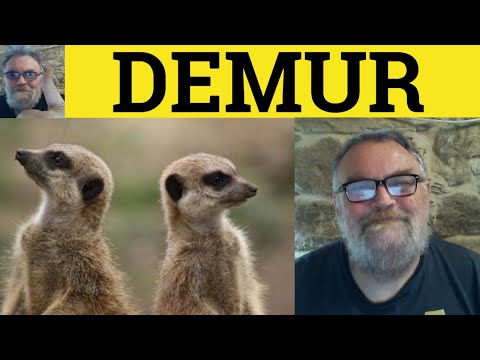 🔵 Demur Meaning - Demur Examples - Demur in a Sentence - Vocabulary for IELTS - Demur