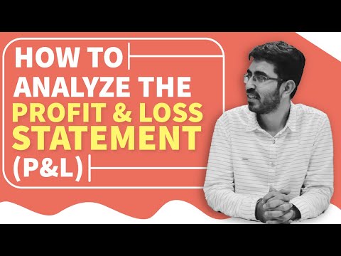 How to Read the Profit & Loss Statement | P&L Statement explained in Hindi