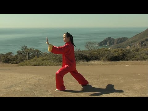 Yang-Style Tai Chi Fundamentals for Beginners - 13 Form (Back View)    楊式太極拳基礎入門13式-全套背向领练
