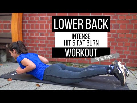 6 MIN LOWER BACK WORKOUT // NO EQUIPMENT (HOME WORKOUT)