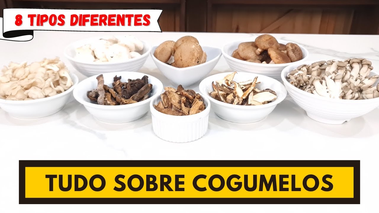 Cogumelos: Alimentos do Futuro