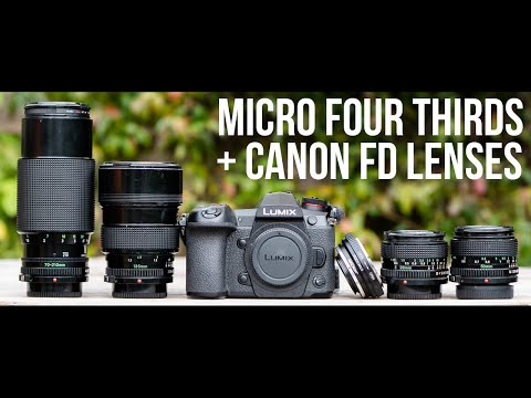 Micro Four Thirds | Canon FD lenses | Wildflower Meadow