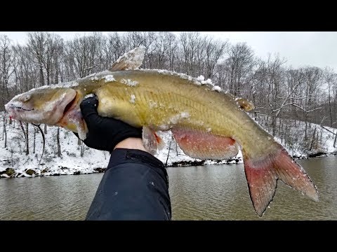 How to Catch Catfish in the Winter - Extreme Winter Catfishing