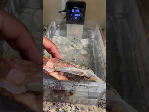 Reheating a frozen brisket with a Meat! Your Maker Sous Vide 10