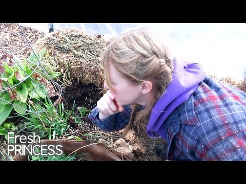 Straw Bale Gardening with Julianne from Dirtpatcheaven  |  Fresh P