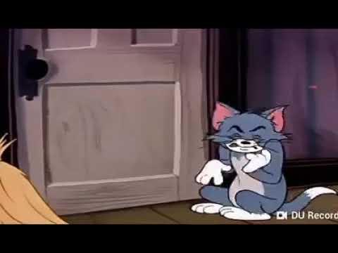 Tom vs Jerry phiên bản Cẩm Lan Sục