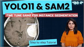 YOLO11 and SAM2 for custom Instance Segmentation