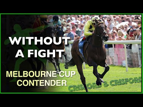 WITHOUT A FIGHT | 2022 Melbourne Cup Contender
