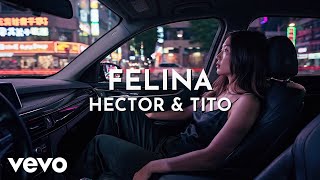 Hector & Tito - Felina (Visualizer) Hector & Tito - Felina (Visualizer)
