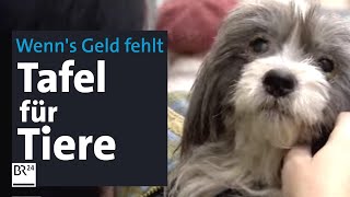 Bedürftige Haustier-Besitzer: Verein hilft mit Futter und bei Tierarzt