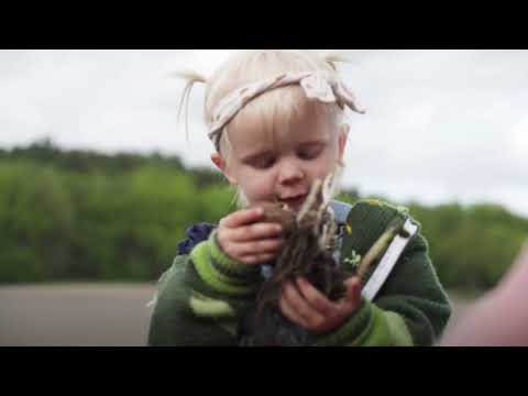 Fotograma del vídeo: Tractores Kubota en una granja completamente ecológica