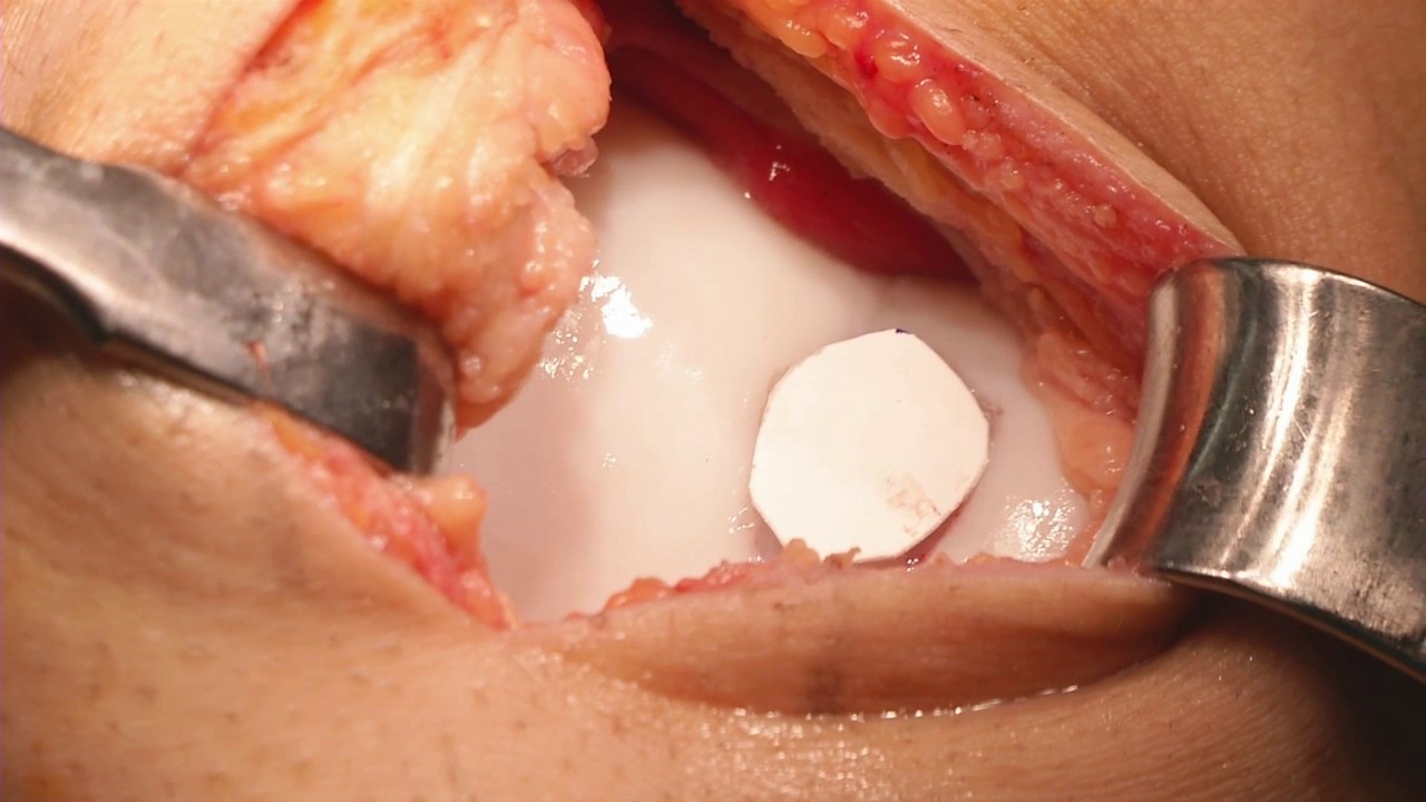 Pedro Gouveia Bastos-19