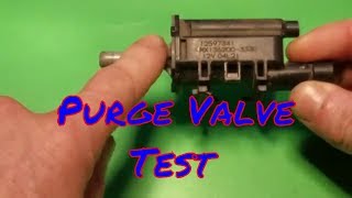 P0496 P0455 P0456 P0442 EVAP Purge Valve Test