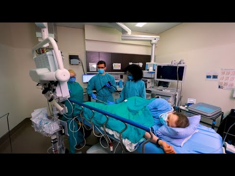 Advancing Digestive Health: Inside the Division of Gastroenterology