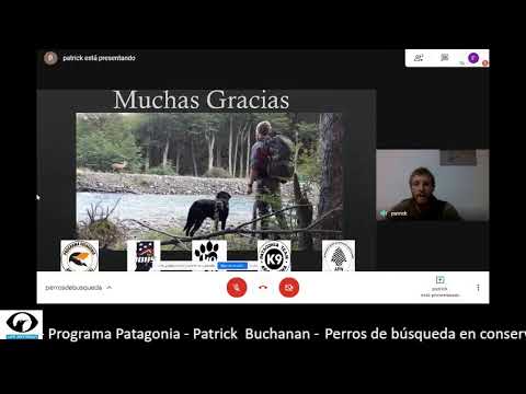 Perros de búsqueda en conservación - Programa Patagonia - Patrick  Buchanan -