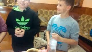 Зашто су биљке зелене